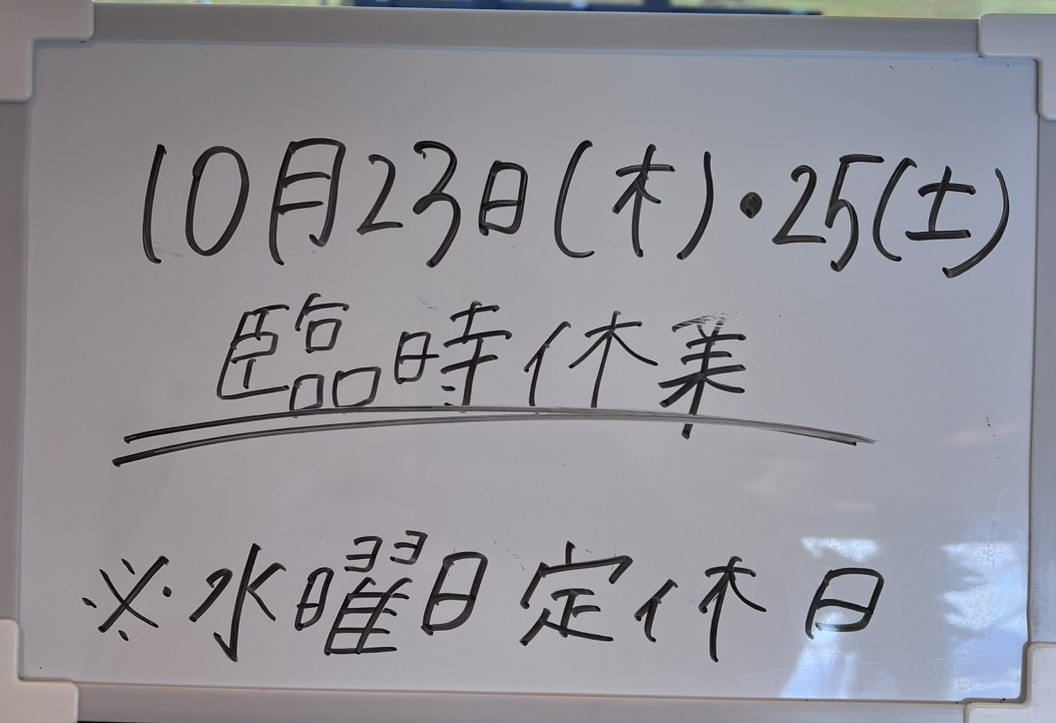 アンチョビ臨時休業13
